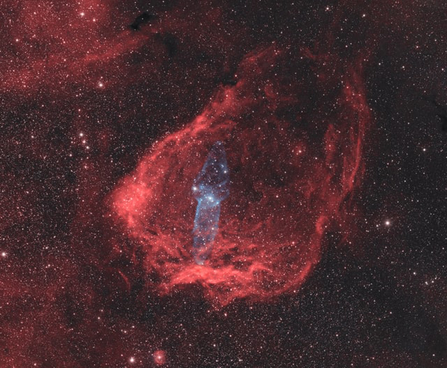 Flying Bat and Squid Nebulae